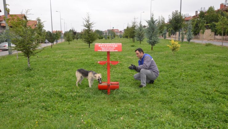 Devlet hava meydankarinda