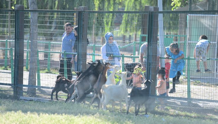 HAYVANAT BAHÇESİNE ZİYARETÇİ AKINI