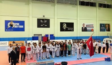 15 Temmuz şehidi Murat Kocatürk Tekvando İl Şampiyonası’nın ikincisi düzenlendi