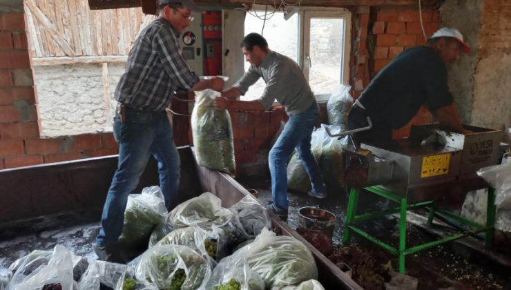 Pekmez yapmak zorlaşıyor toprak bulunmuyor!